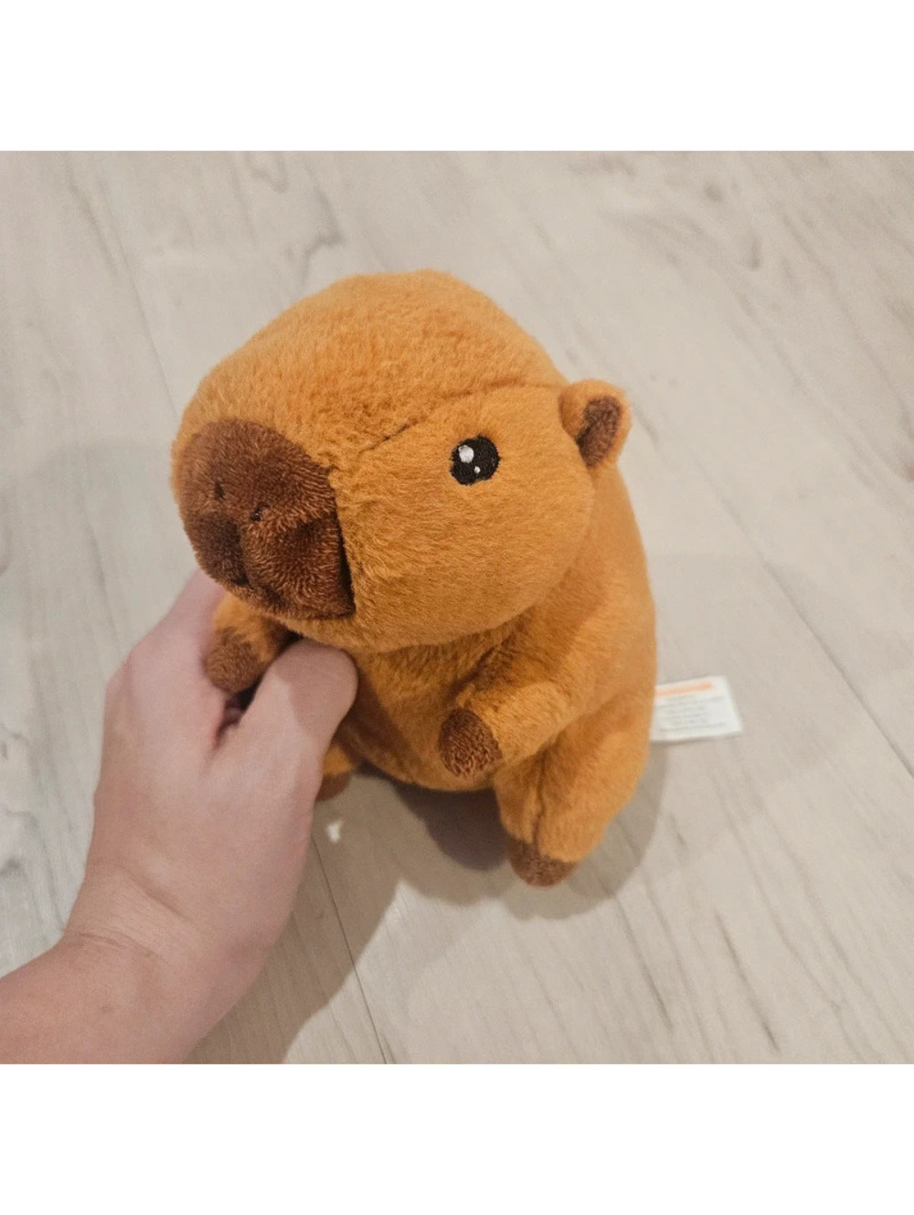 Scholastic Adopt a Capybara 6” Plush Brown Stuffed Animal